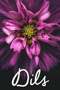 Notice for Marion Sarjeant