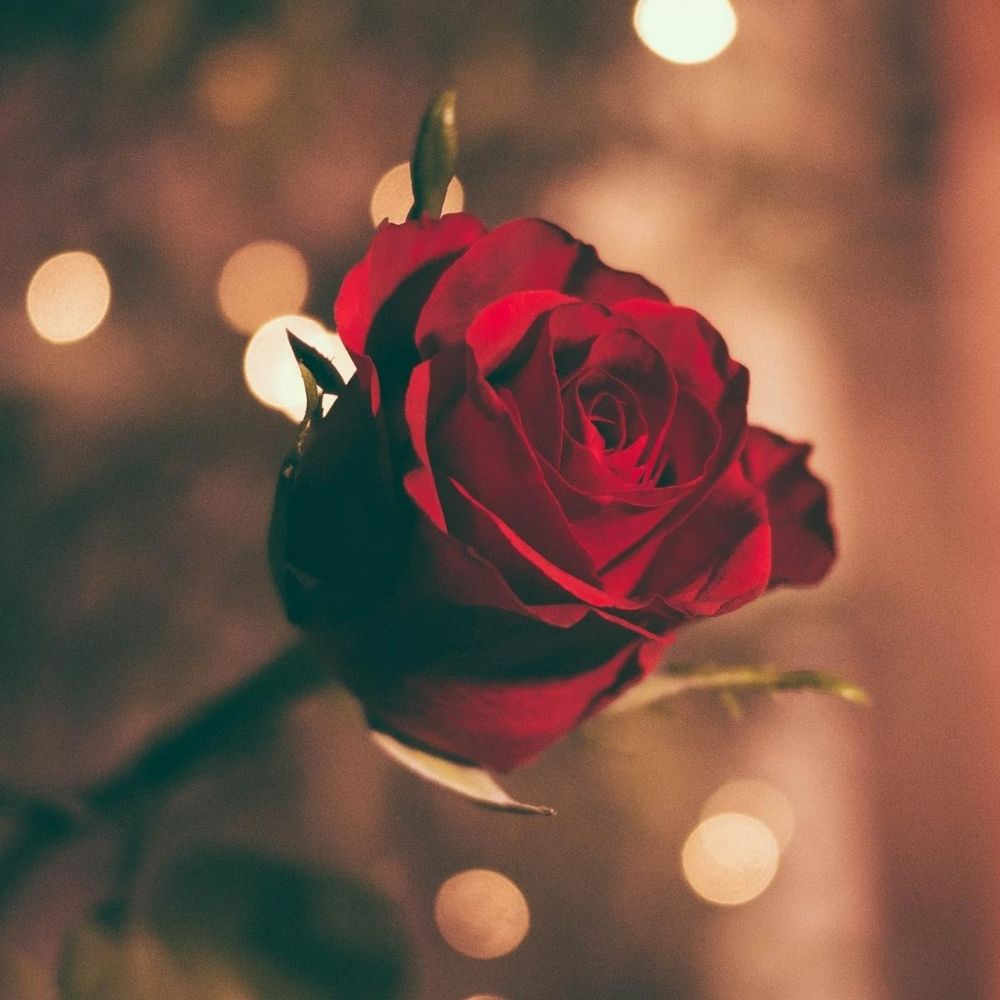 Notice for Mavis Ethel Davis