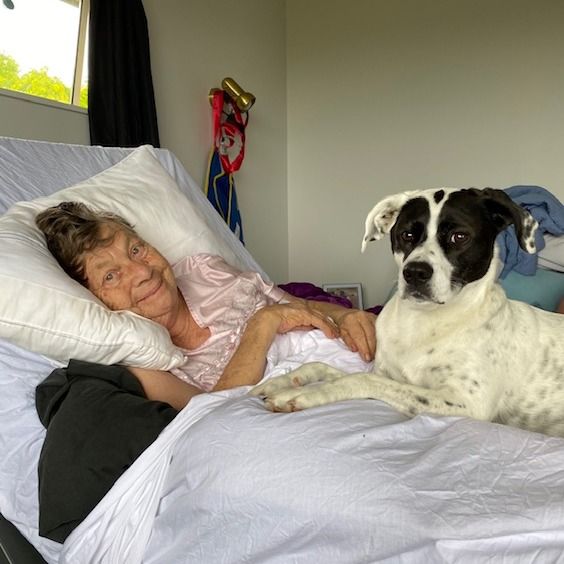 Notice for Lily Merle McLeod