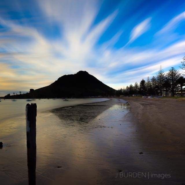 Notice for Denise Bird