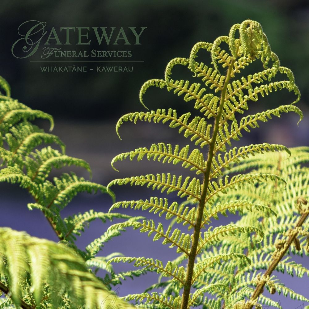 Notice for Andy Tioke