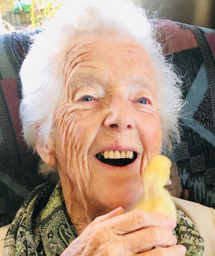 Notice for Dorothy (Paddy) Mackisack