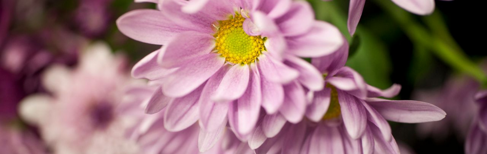 Notice for Christel Gudren McNeely