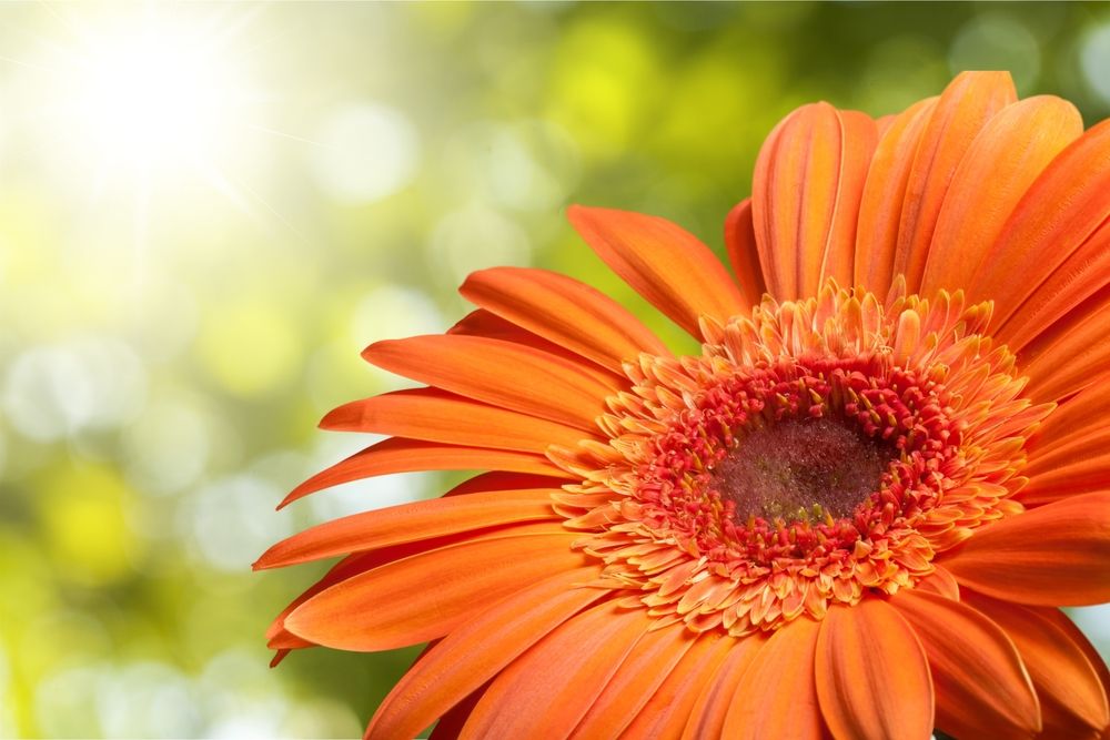 Notice for David George Ellen