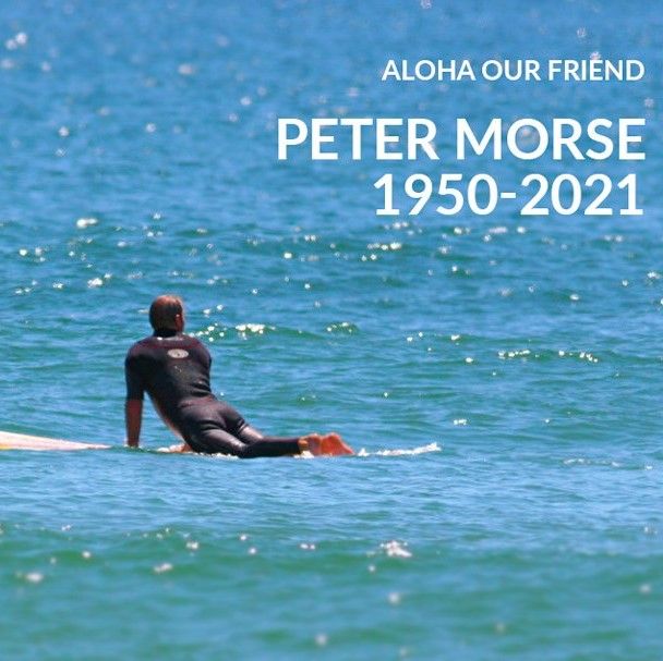 Notice for Peter Bernard Morse