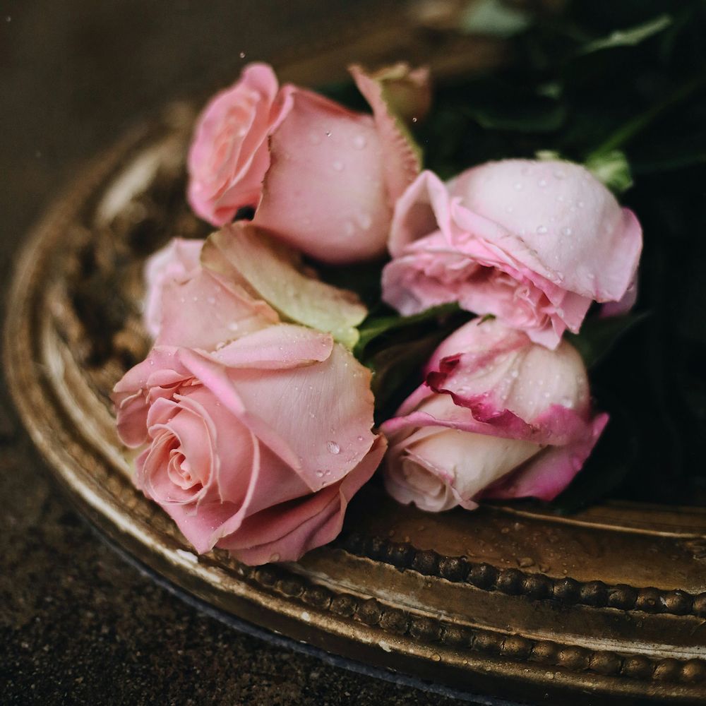 Notice for Maureen Marie Seed