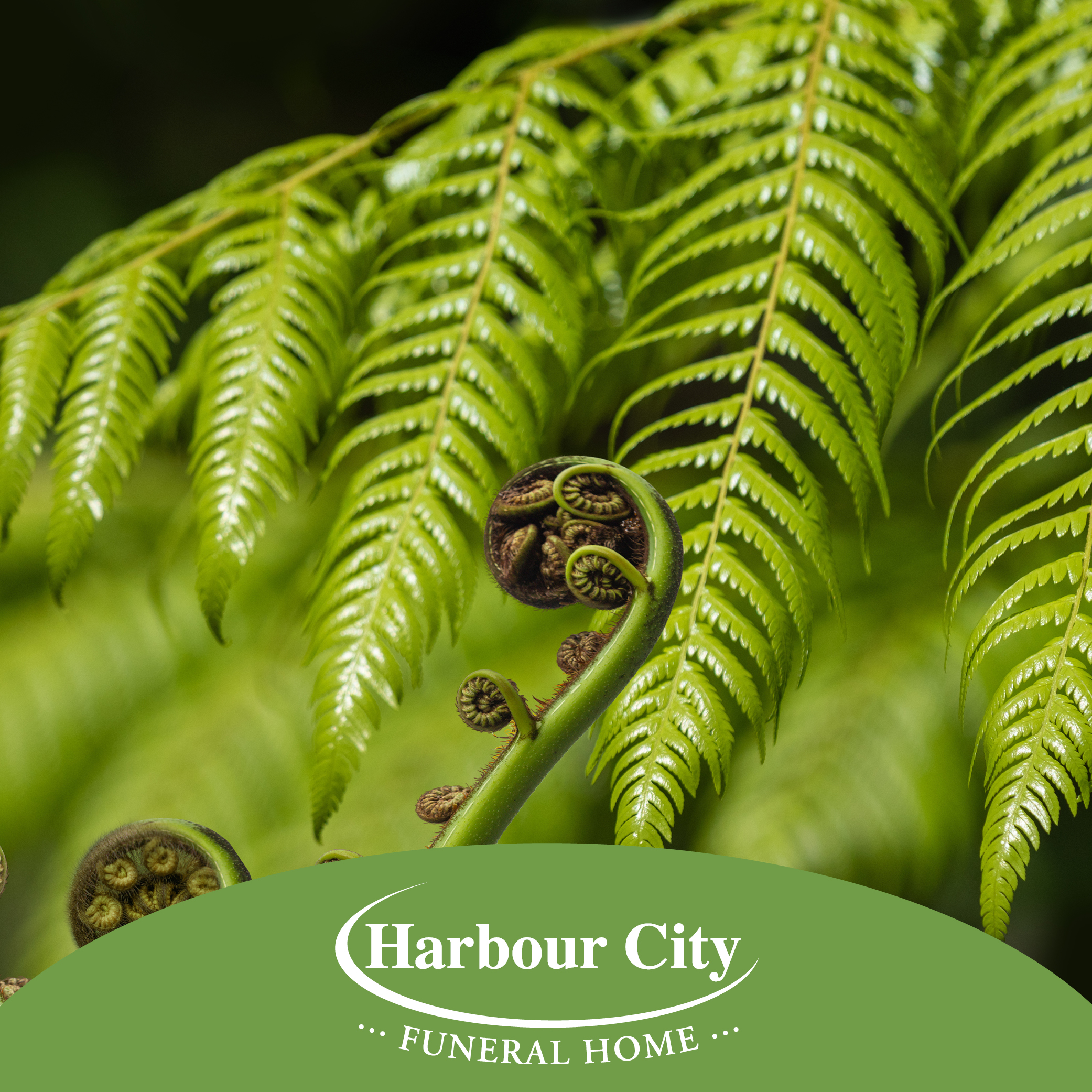 Notice for James Patrick O'Shaughnessy