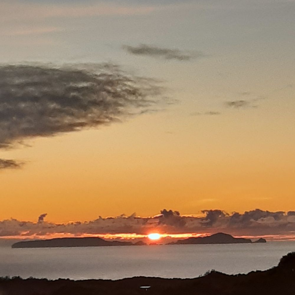 Notice for Helene Elizabeth Rose Metcalfe