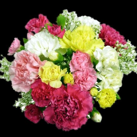 Notice for Shirley Lorraine Moss