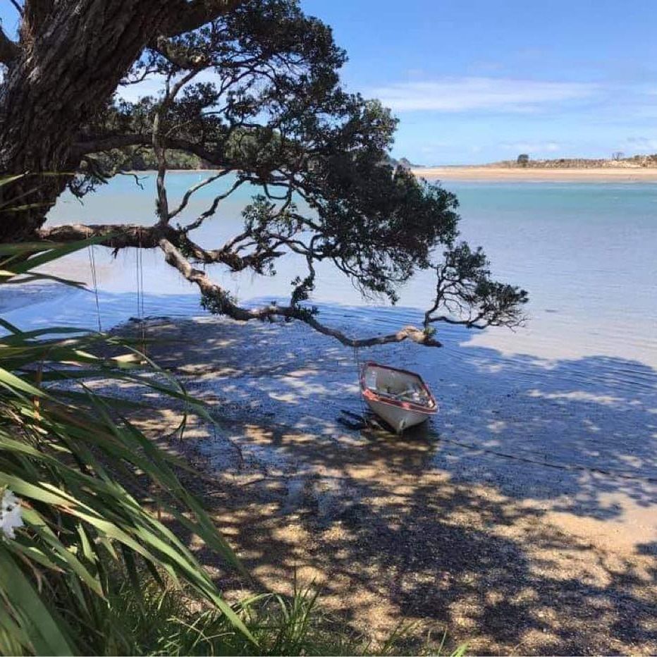 Notice for John Dylan