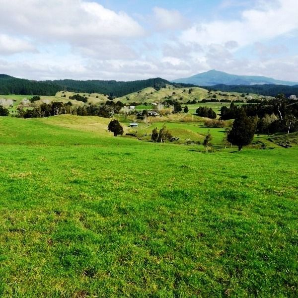 Notice for John Hayden Jordan