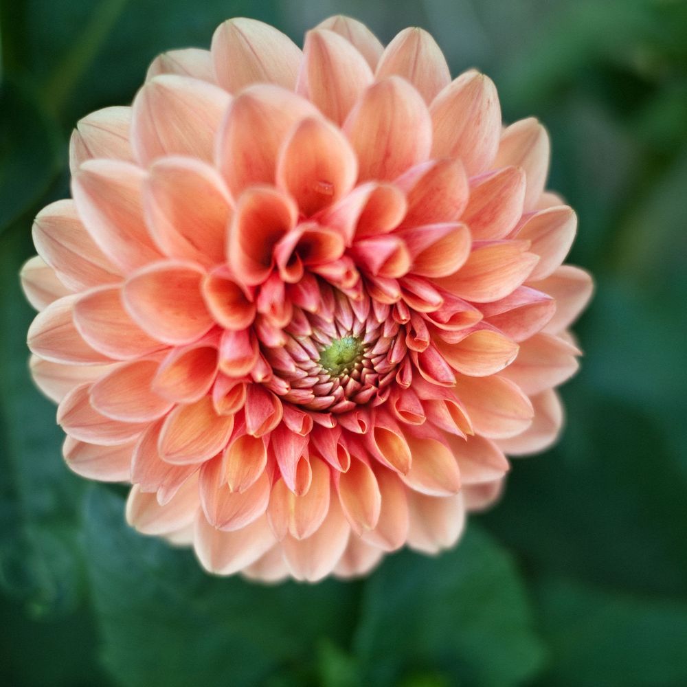 Notice for Judith Gilliand