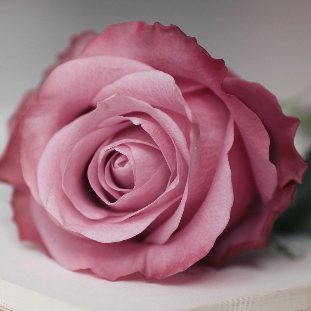 Notice for Janice Mae Cowell