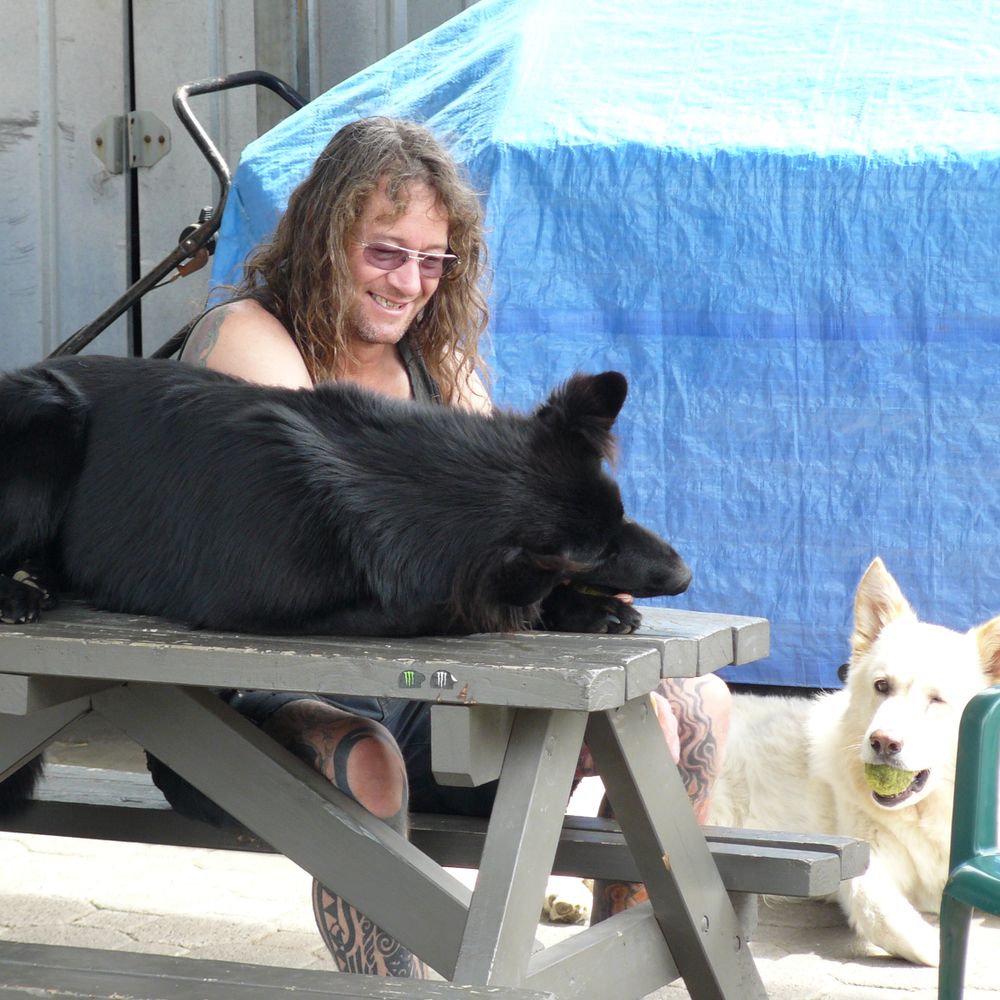 Notice for Hoon Christieson