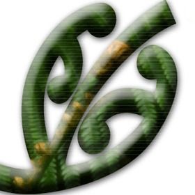 Notice for William Tapara