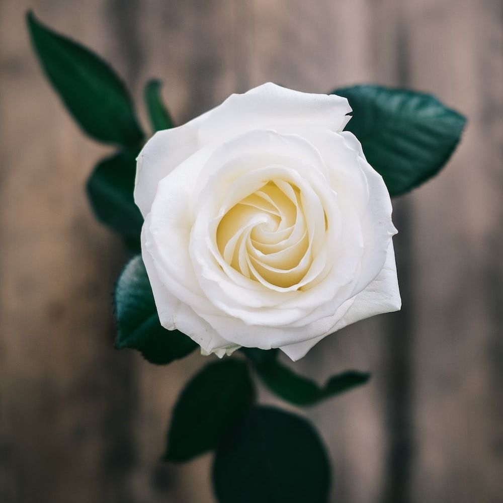 Notice for Melva Dawn Johnson